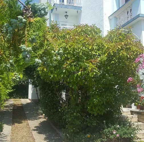 Oleander In Apartment Pakostane