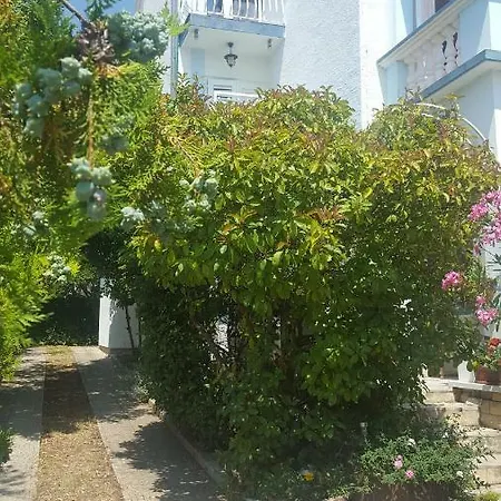 Oleander In Appartement Pakoštane