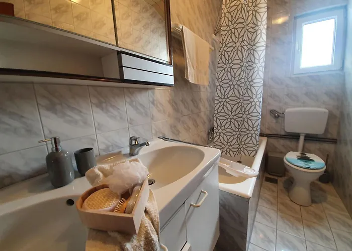 Oleander In Apartment